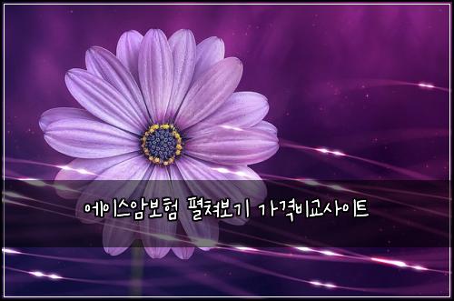 ์์ด์ค์๋ณดํ ํผ์ณ๋ณด๊ธฐ ๊ฐ๊ฒฉ๋น๊ต์ฌ์ดํธ