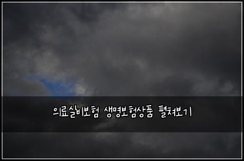 의료실비보험 생명보험상품 펼쳐보기