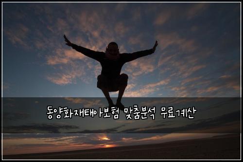 동양화재태아보험 맞춤분석  무료계산