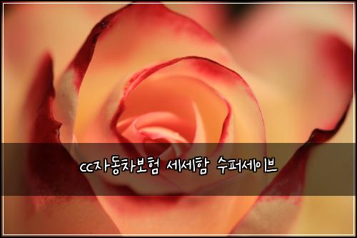 cc자동차보험 세세함  수퍼세이브