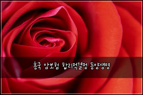 흥국 암보험 합리적결정  동양생명