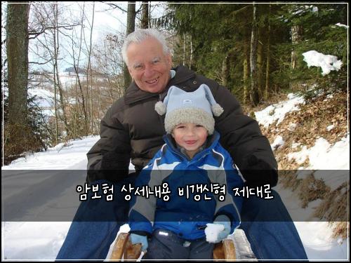 암보험 상세내용  비갱신형 제대로