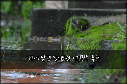34์ธ ๋จํธ ์ ๊ธฐ๋ณดํ ์ด๊ฑดํ์ ์ถ์ฒ
