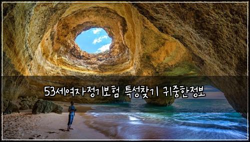 53세여자정기보험 특성찾기  귀중한정보