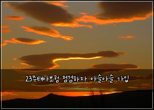 23주태아보험 점검하자  아슬아슬 가입