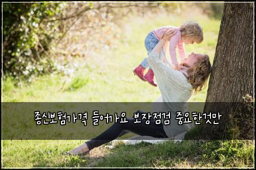 종신보험가격 들어가요 보장점검 중요한것만