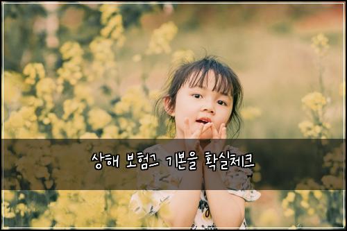 ์ํด ๋ณดํ๊ทธ ๊ธฐ๋ณธ์ ํ์ค์ฒดํฌ