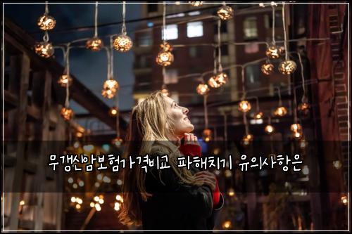 ๋ฌด๊ฐฑ์ ์๋ณดํ๊ฐ๊ฒฉ๋น๊ต ํํด์น๊ธฐ ์ ์์ฌํญ์
