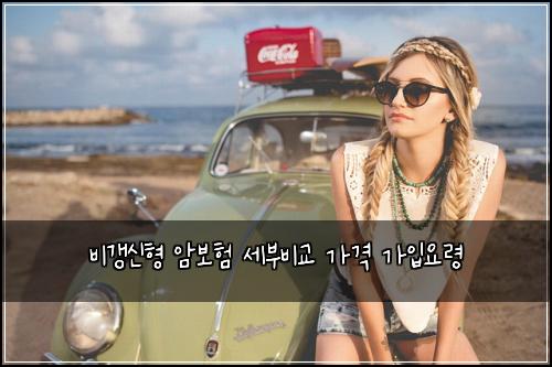 비갱신형 암보험 세부비교  가격 가입요령