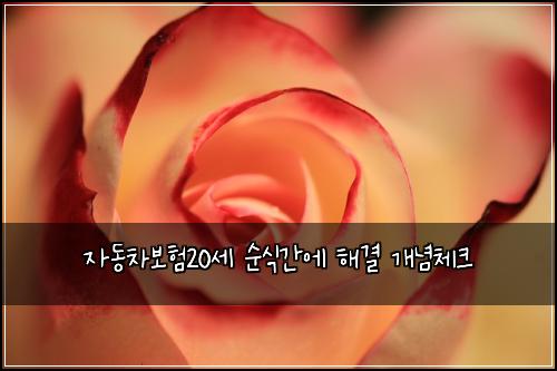 자동차보험20세 순식간에 해결 개념체크