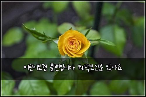 ์ด๋ฆฐ์ด๋ณดํ ํ๋์
๋๋ค ํํ๋ณด์ ๋ถ ์๋์