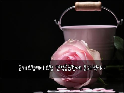 손해보험태아보험 견적궁금한데 효과적이야