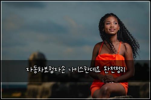 μλ차보νμμ λμ΄μ€νλ°μ μμ μ 리