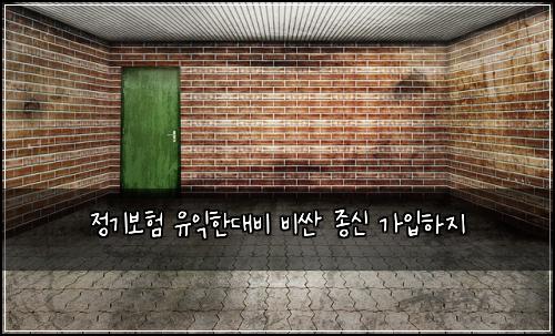 정기보험 유익한대비  비싼 종신 가입하지