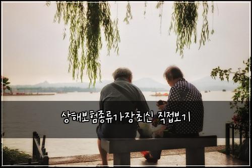 상해보험종류가장최신 직접보기
