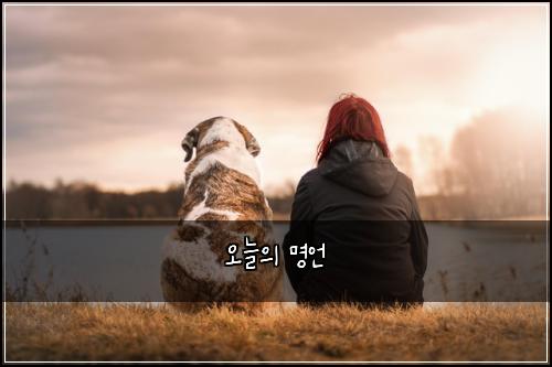 오늘의 명언