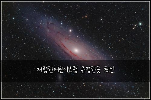 저렴한어린이보험 유명한곳  최신