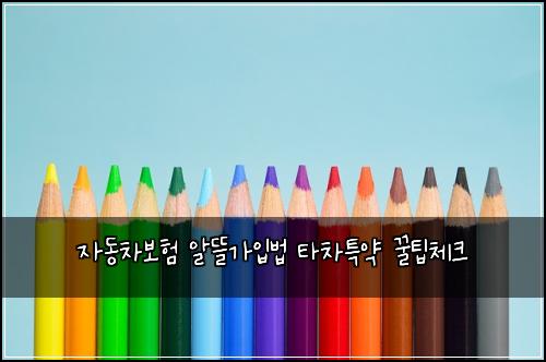 μλ차보ν μλ°κ°μ
λ² νμ°¨νΉμ½ κΏν체ν¬