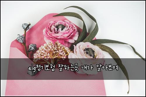 aig정기보험 잘하는곳  내가 알아보며