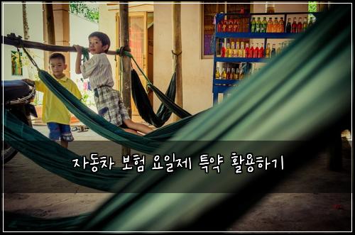 자동차 보험 요일제 특약 활용하기