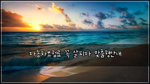 자동차보험료 꼭 살피자 맞춤형안내