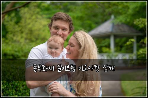 ๋๋ถํ์ฌ ์ค๋น๋ณดํ ๋น๊ต์ฌํญ ์ํด