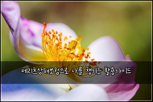 메리츠상해보험으로 나를 챙기는 활용가이드