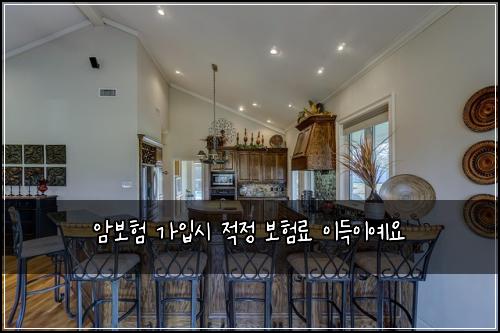 암보험 가입시 적정 보험료 이득이예요