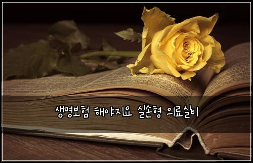 생명보험 해야지요  실손형 의료실비
