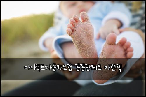 다이렉트자동차보험 꼼꼼한체크  마련책