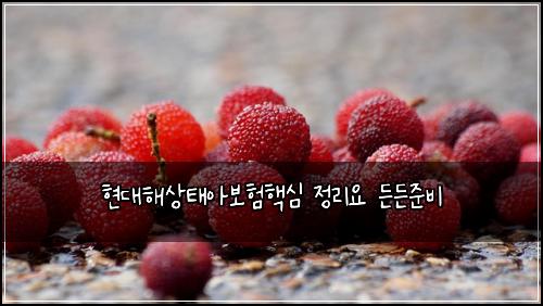 현대해상태아보험핵심 정리요 든든준비