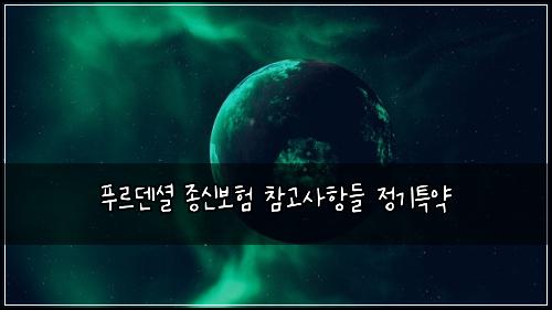 푸르덴셜 종신보험 참고사항들  정기특약