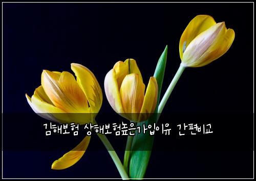 ๊นํด๋ณดํ ์ํด๋ณดํ๋์๊ฐ์
์ด์ ๊ฐํธ๋น๊ต
