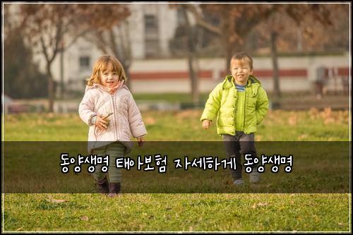๋์์๋ช
ํ์๋ณดํ ์์ธํ๊ฒ ๋์์๋ช