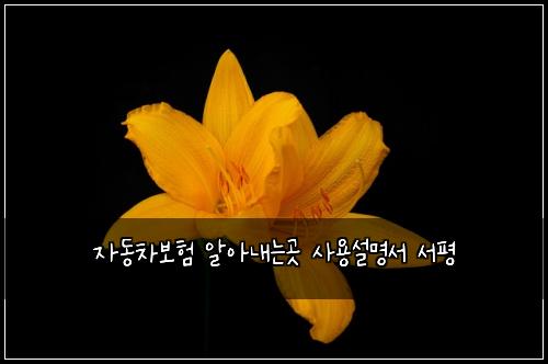 자동차보험 알아내는곳  사용설명서 서평