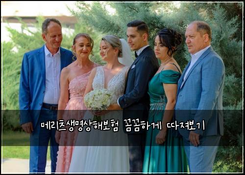 메리츠생명상해보험 꼼꼼하게 따져보기