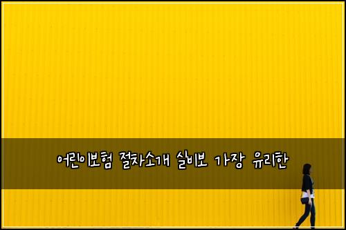 ์ด๋ฆฐ์ด๋ณดํ ์ ์ฐจ์๊ฐ ์ค๋น๋ณด ๊ฐ์ฅ ์ ๋ฆฌํ