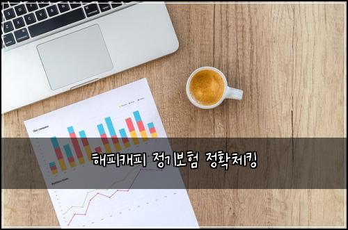 해피캐피 정기보험 정확체킹 