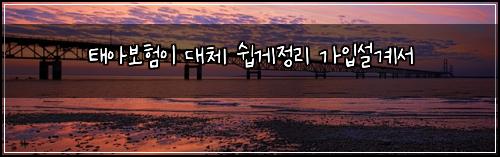 태아보험이 대체 쉽게정리 가입설계서