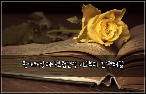 ํ๋ํด์ํ์๋ณดํ๊ฒฌ์ ๋น๊ต๋ถํฐ ๊ฐํธํด๊ฒฐ