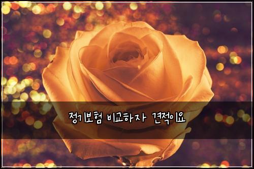 ์ ๊ธฐ๋ณดํ ๋น๊ตํ์ ๊ฒฌ์ ์ด์