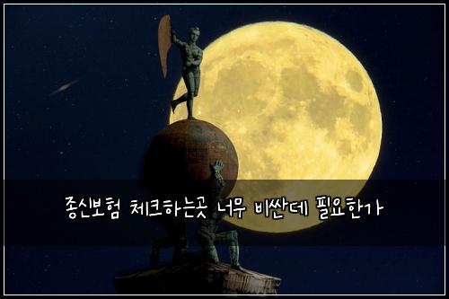 종신보험 체크하는곳  너무 비싼데 필요한가