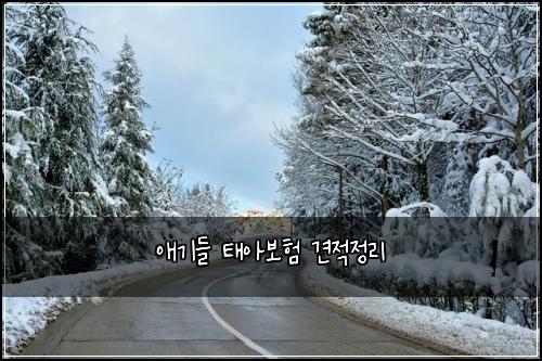 애기들 태아보험 견적정리 