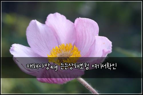 ์ฌํด์ฌ๋งaig ๋ ๋ ์ํด๋ณดํ ์ฌ๊ธฐ์ํ์ธ