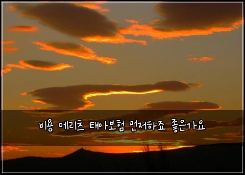 비용 메리츠 태아보험 먼저하죠  좋은가요