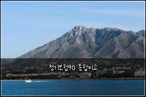 μ 기보ν40 μ’
ν©λΉκ΅