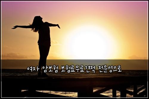 ์ฌ์ ์๋ณดํ ๋ณดํ๋ฃ๋ฌด๋ฃ๊ฒฌ์ ์ ๋ฌธ์ฑ์ผ๋ก