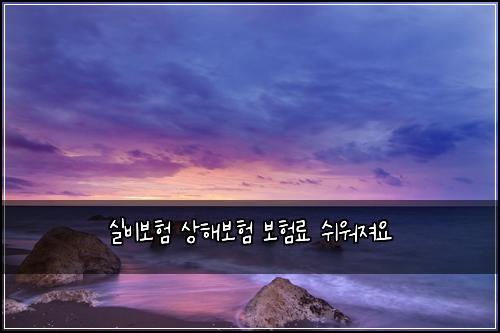 ์ค๋น๋ณดํ ์ํด๋ณดํ ๋ณดํ๋ฃ ์ฌ์์ ธ์