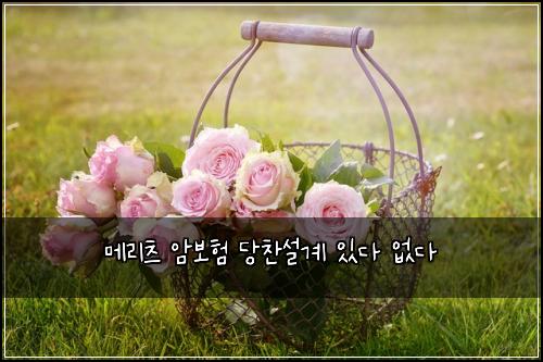 메리츠 암보험 당찬설계  있다 없다