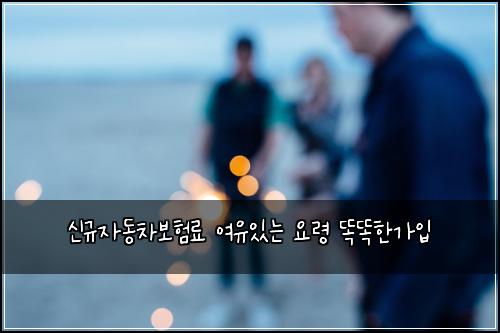 신규자동차보험료 여유있는 요령 똑똑한가입